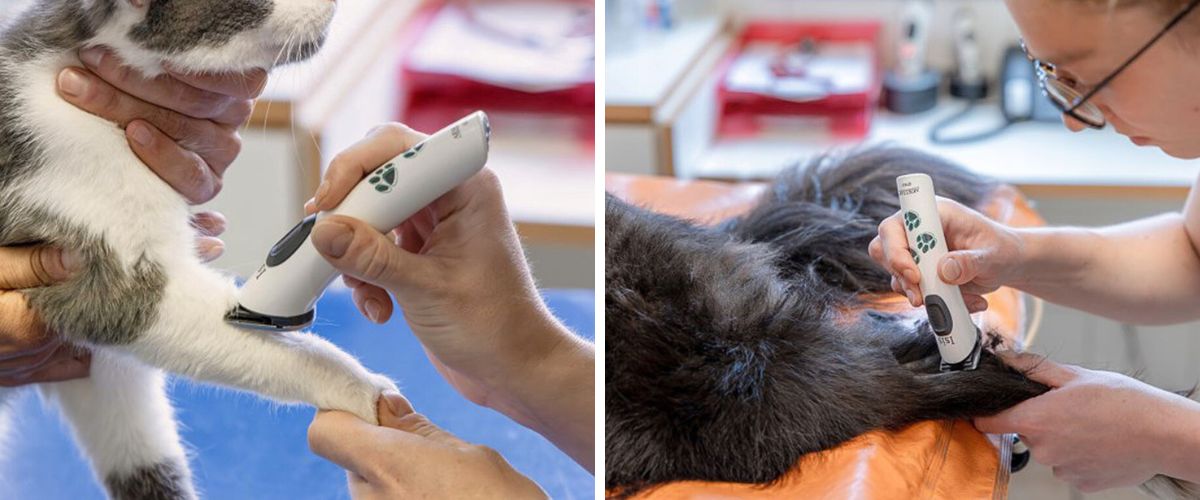 aesculap-isis-gt421-text-2