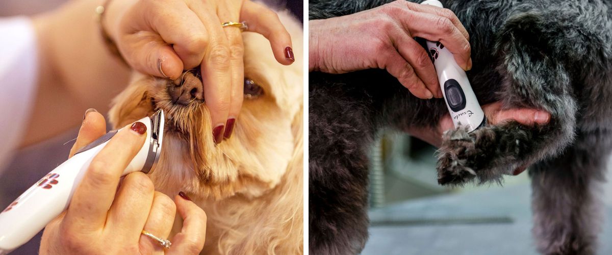 aesculat-exacta-gt416-text-2