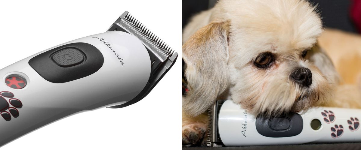 akumulatorovy-strihaci-strojek-na-psy-aesculap-akkurata-gt405-text-02