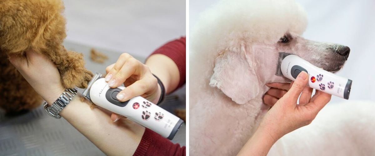 akumulatorovy-strihaci-strojek-na-psy-aesculap-akkurata-gt405-text-04