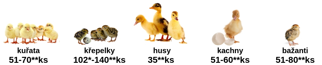 kapacita_lihne_puisor_io-103,203,204