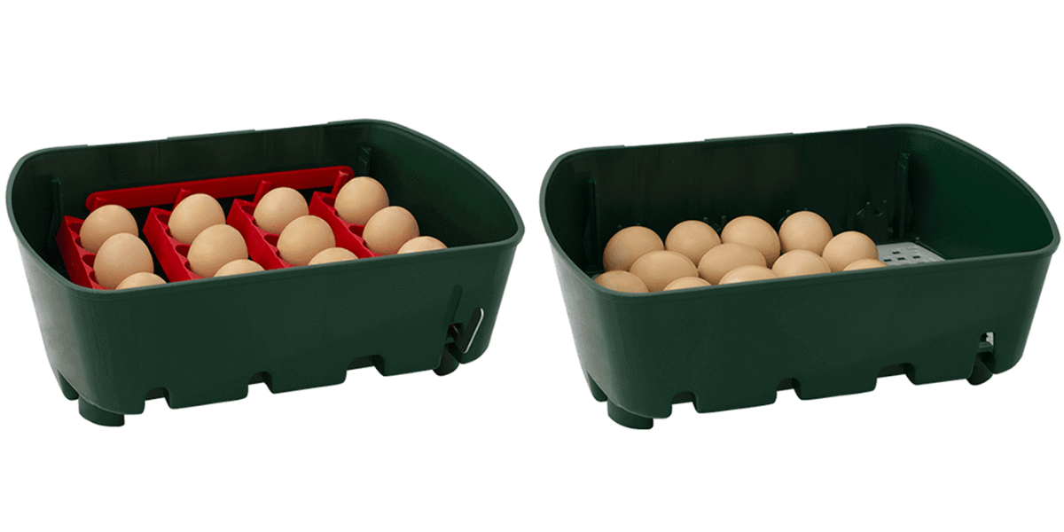 lihen-na-vejce-river-systems-et-12-s-dolihni-drubeze_1