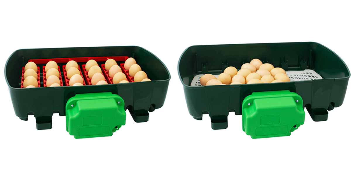 lihen-na-vejce-river-systems-et-24-automatic-s-dolihni-drubeze_1