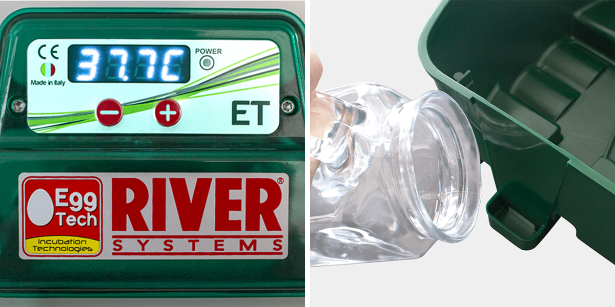 lihen-na-vejce-river-systems-et-24-s-dolihni-drubeze_3