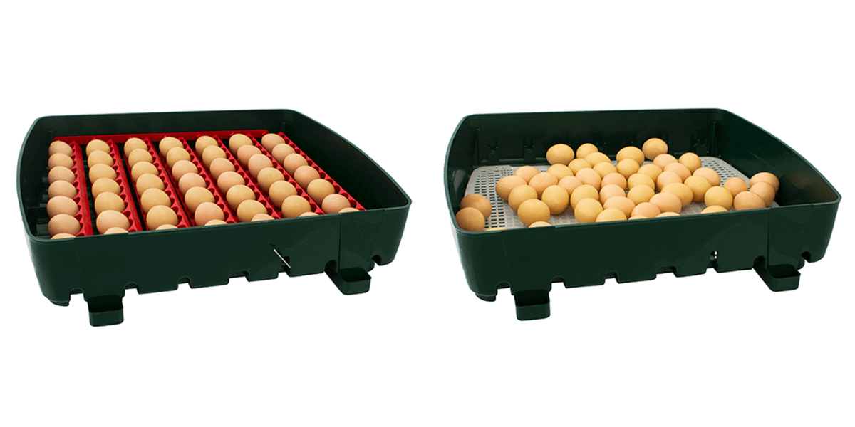 lihen-na-vejce-river-systems-et-49-s-dolihni-drubeze_1