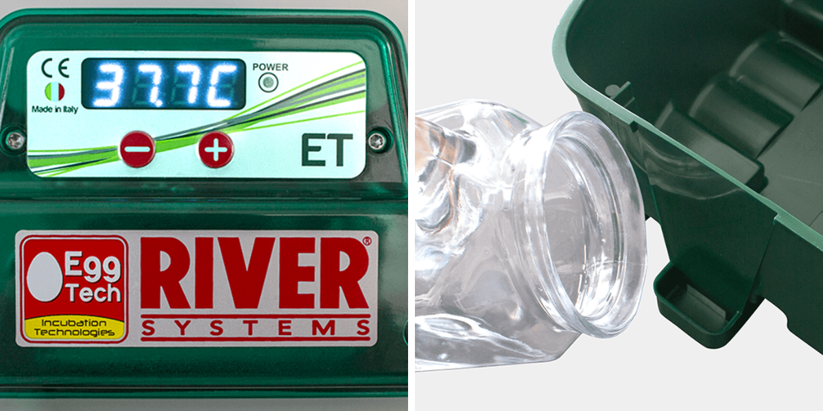 lihen-na-vejce-river-systems-et-49-s-dolihni-drubeze_2