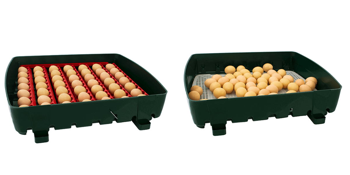 lihen-na-vejce-river-systens-et-49-automati_1