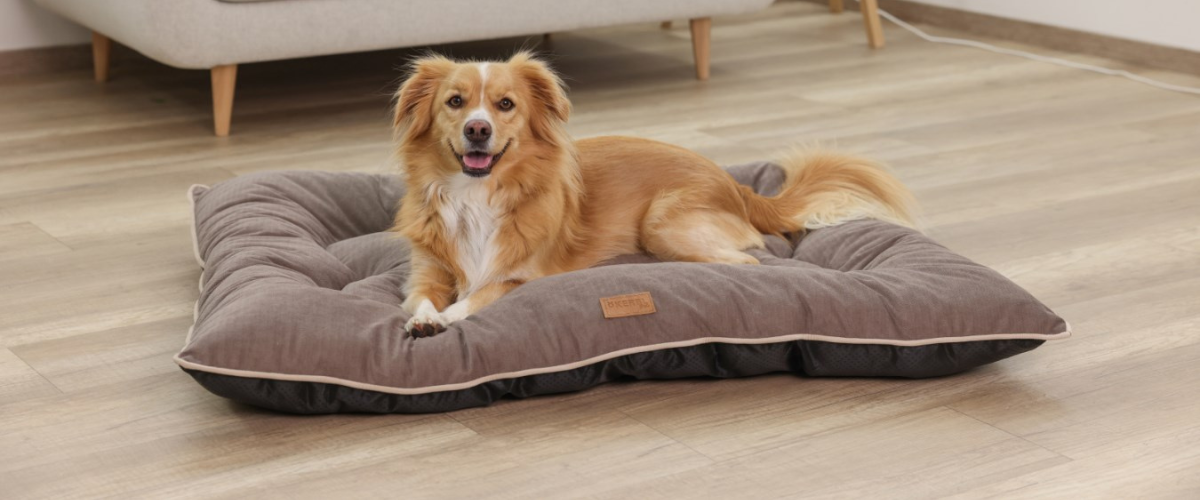 pelisek-pro-psy-a-kocky-kerbl-80459-benno-80--60--9-cm-hneda-nahled