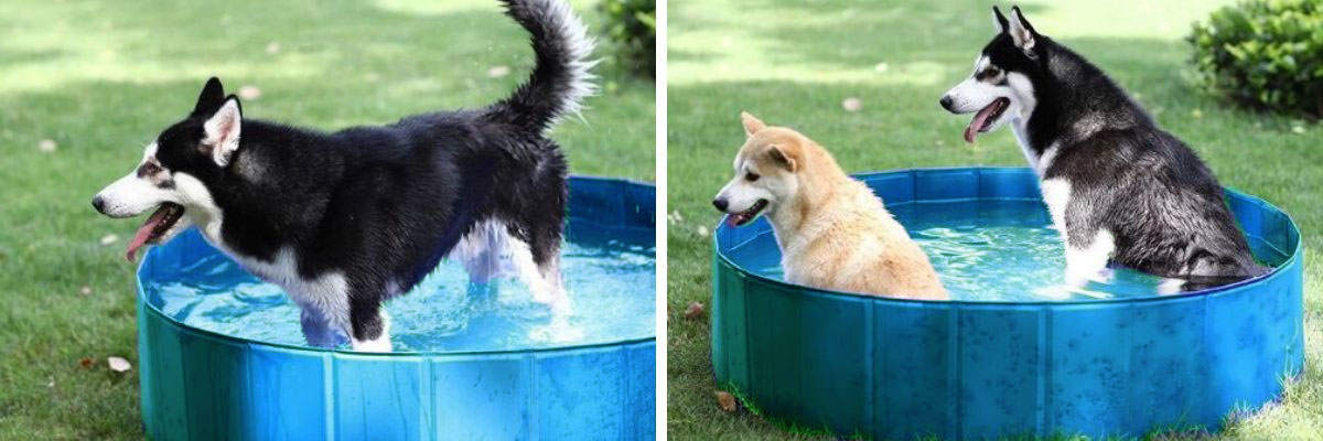 psi-bazen-kerbl-text-02